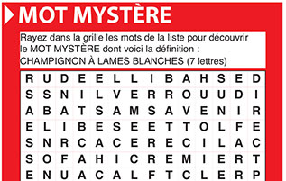 Mot mystère